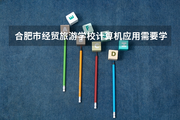 合肥市经贸旅游学校计算机应用需要学哪些课程 专业能力要求是什么