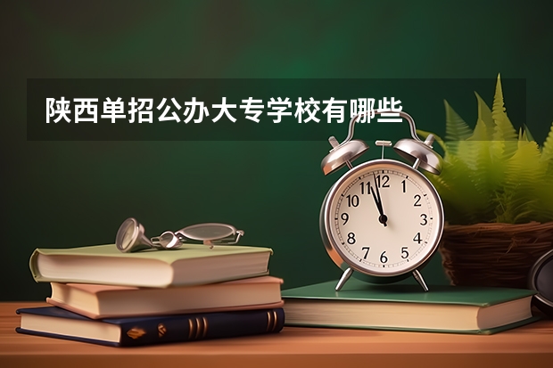 陕西单招公办大专学校有哪些
