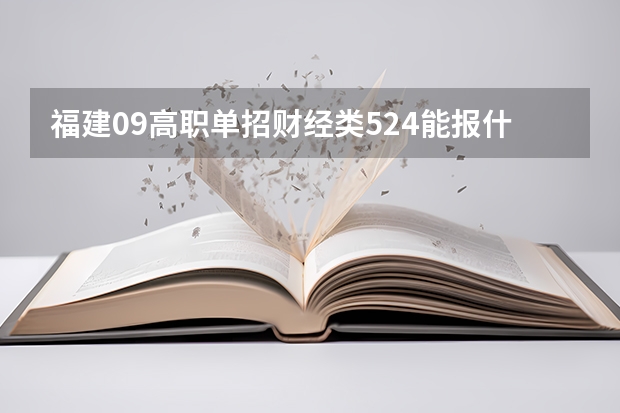 福建09高职单招财经类524能报什么学校?