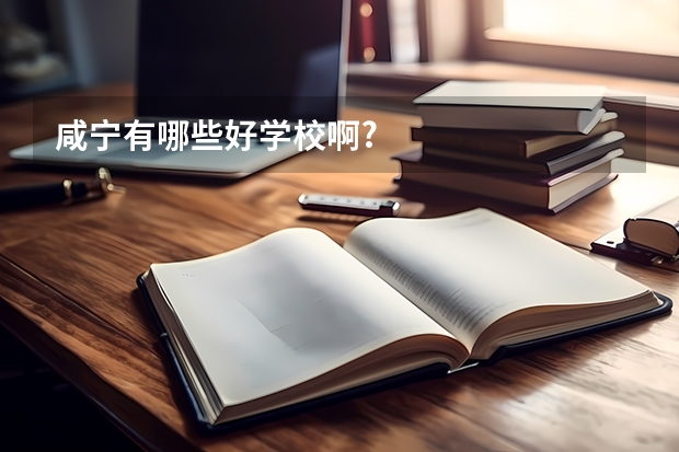咸宁有哪些好学校啊?