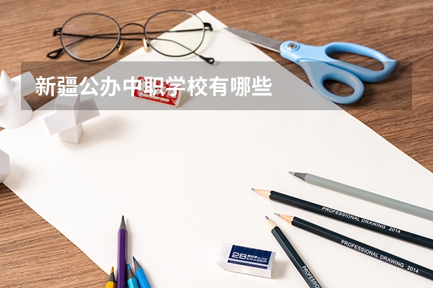新疆公办中职学校有哪些