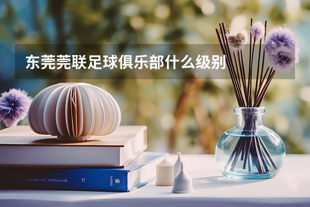东莞莞联足球俱乐部什么级别