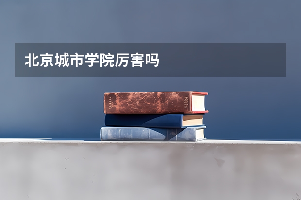 北京城市学院厉害吗