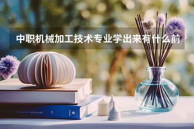 中职机械加工技术专业学出来有什么前途