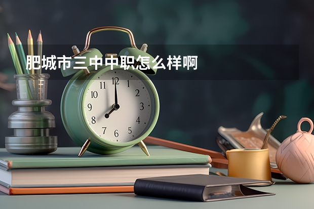 肥城市三中中职怎么样啊