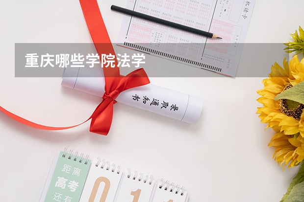 重庆哪些学院法学