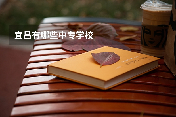 宜昌有哪些中专学校