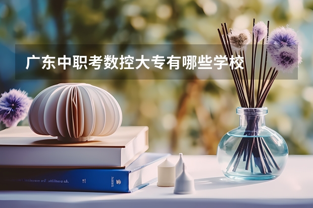 广东中职考数控大专有哪些学校