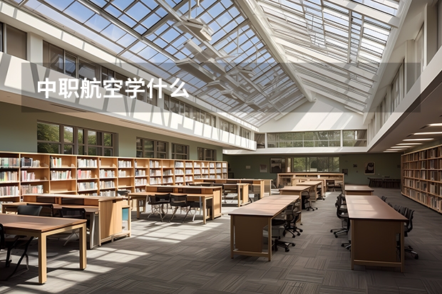 中职航空学什么