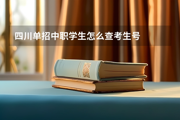 四川单招中职学生怎么查考生号