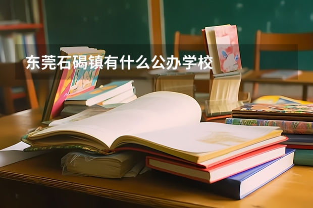 东莞石碣镇有什么公办学校