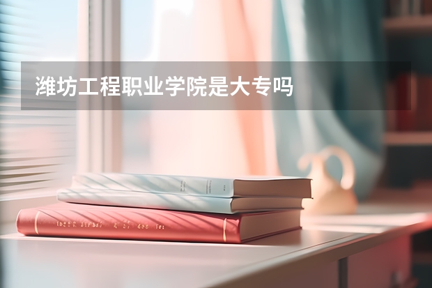 潍坊工程职业学院是大专吗