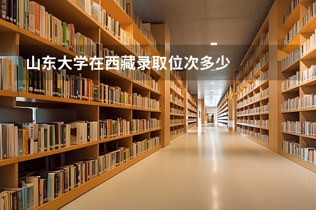 山东大学在西藏录取位次多少