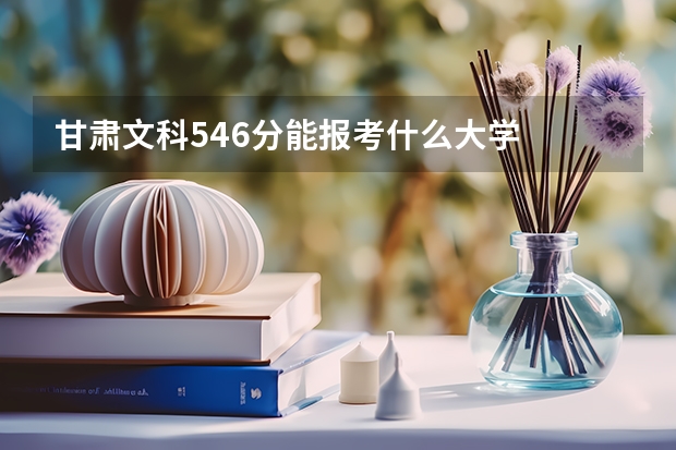 甘肃文科546分能报考什么大学