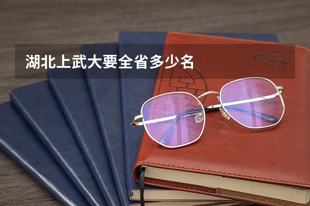 湖北上武大要全省多少名