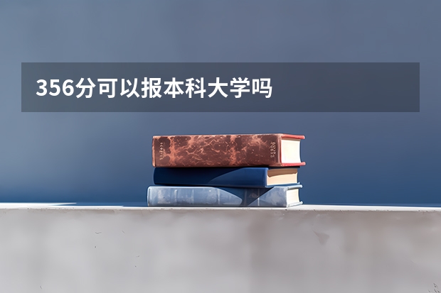 356分可以报本科大学吗
