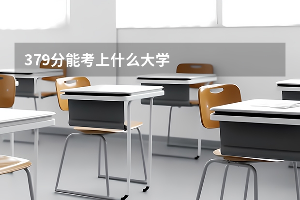 379分能考上什么大学