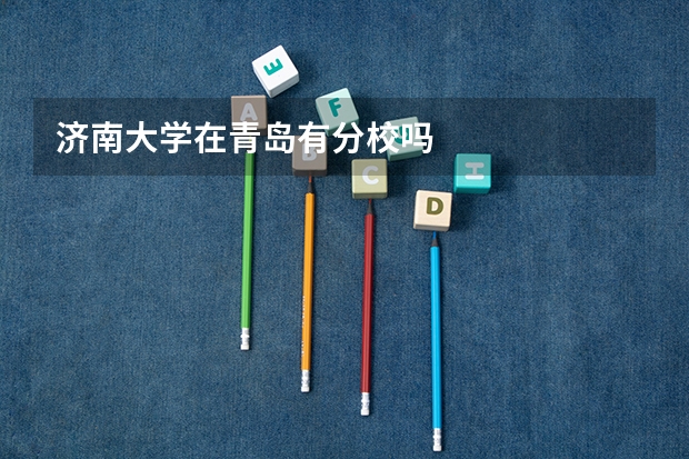 济南大学在青岛有分校吗